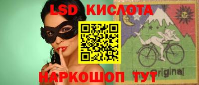шишки Камышлов