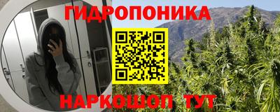 шишки Камышлов