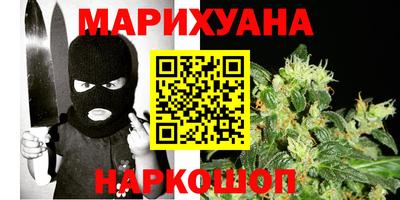 индика Кандалакша