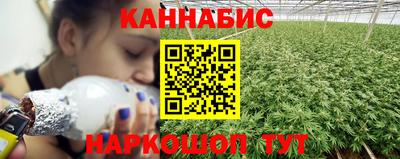 шишки Камышлов