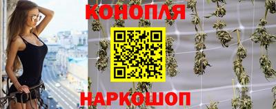 индика Кандалакша