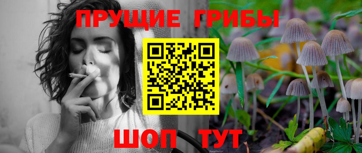 Псилоцибиновые грибы Psilocybine cubensis Шатура